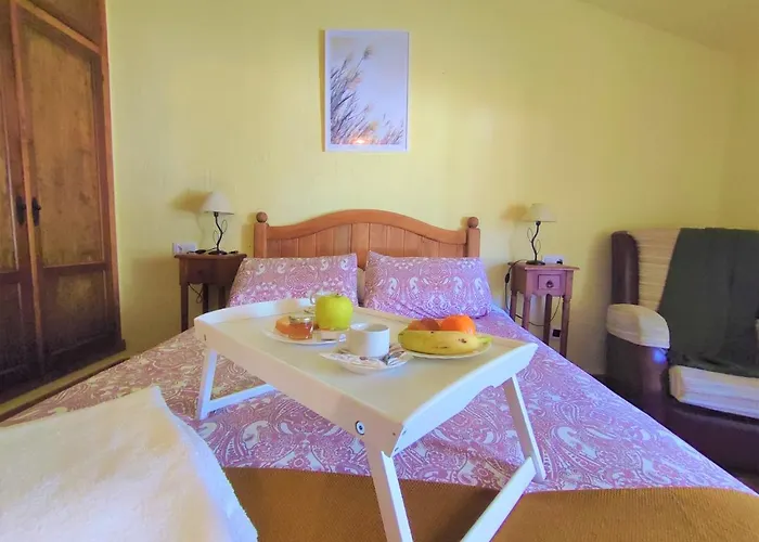 Complejo Turistico Rural Pinar De Amurjo
